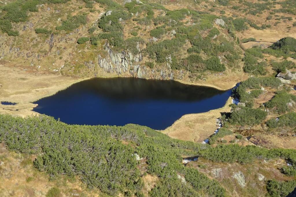 Ferienwohnung Moersbachblick Donnersbachwald Dış mekan fotoğraf