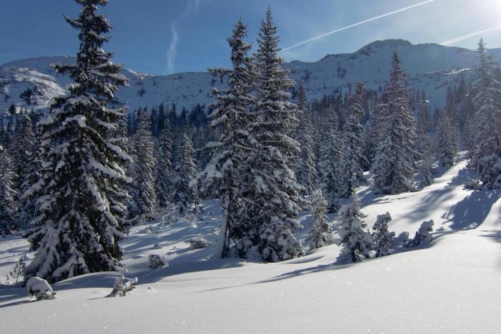 Ferienwohnung Moersbachblick Donnersbachwald Dış mekan fotoğraf
