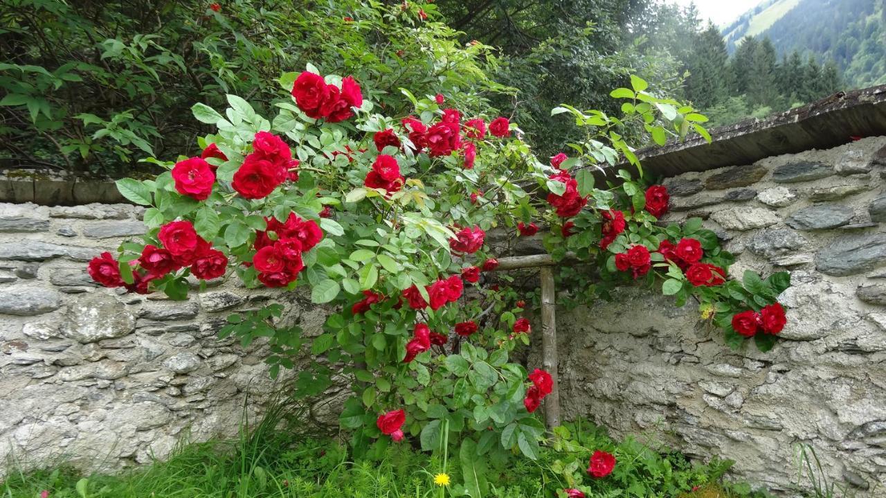 Ferienwohnung Moersbachblick Donnersbachwald Dış mekan fotoğraf